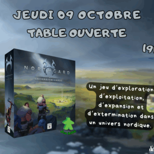 Soirée découverte de Northgard