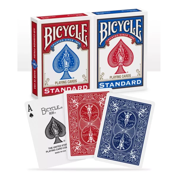 Bicycle Rider Back - X2