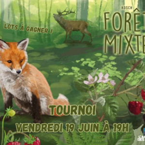 Tournoi Forêt Mixte