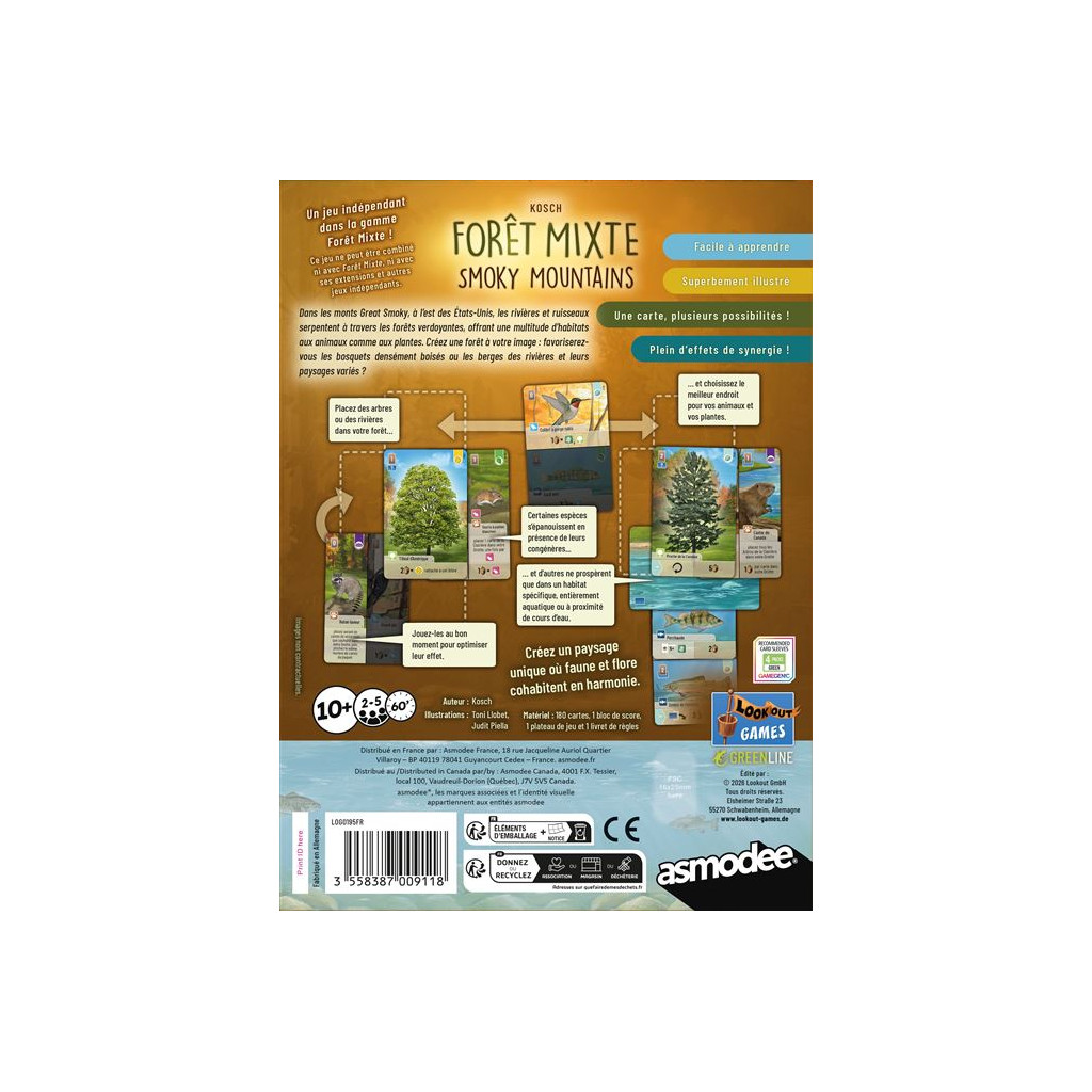 ART-005868-foret-mixte-smoky-mountains-3558387009118-1